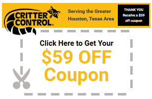 Animal Removal Coupon