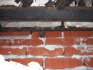 BatInfestationInsideWalls