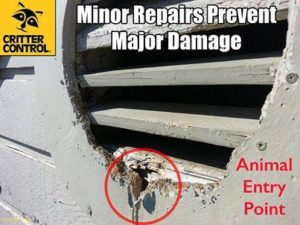 MinorRepairsPreventMajorDamage